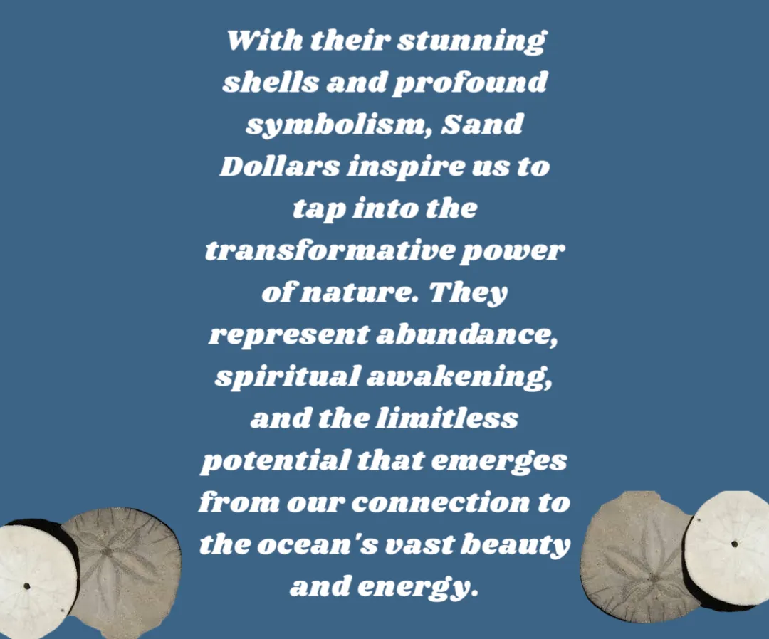 Sea glass - Sand dollar - necklace