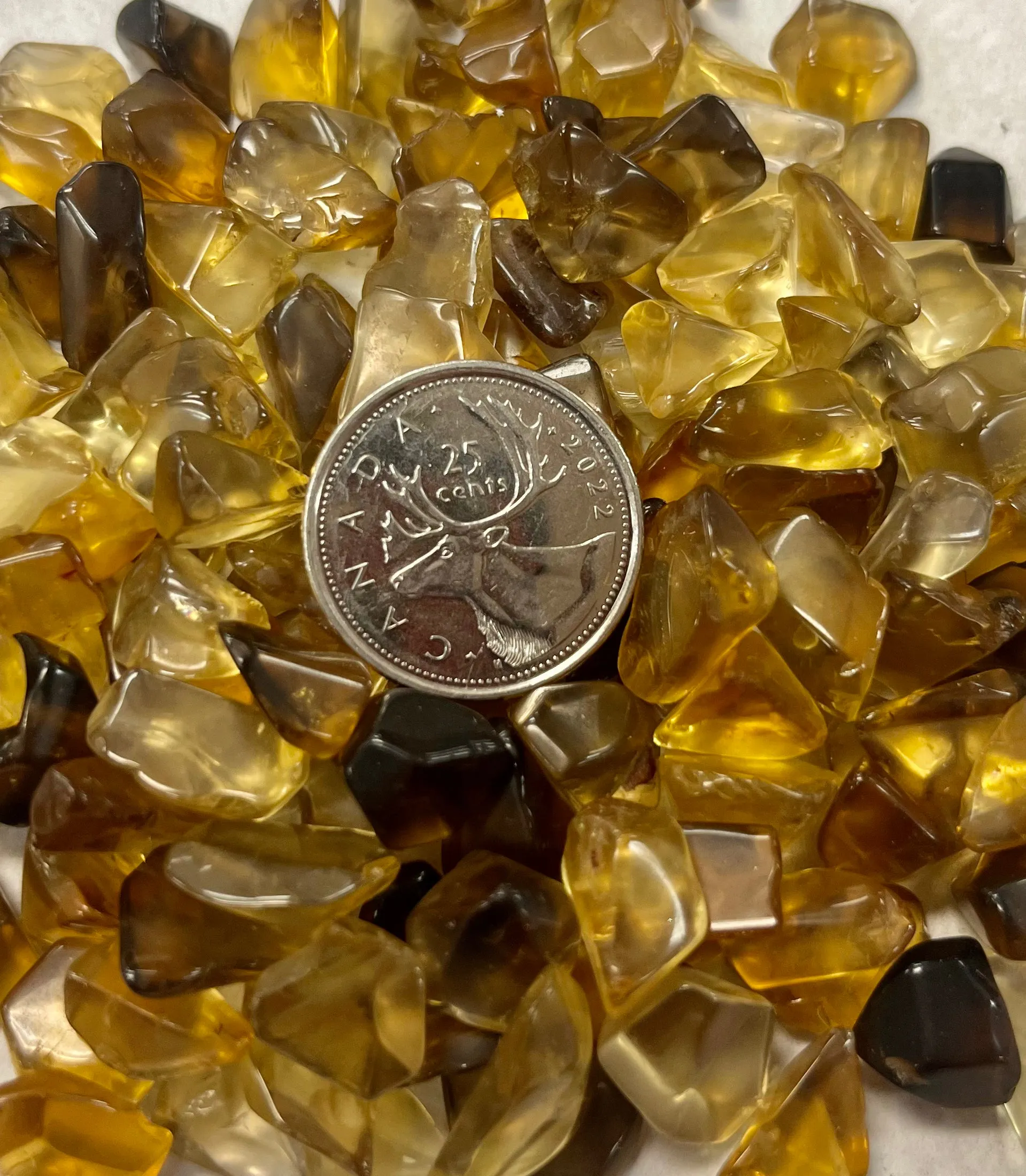 Smoky Citrine Bits